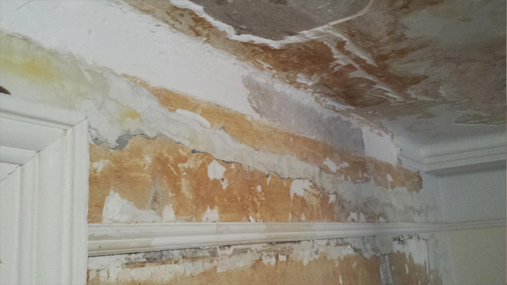 Best Stucco Services near Ridgewood, NY